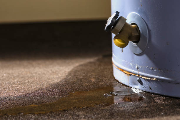 Best Water damage cleanup near me  in University Park, IL