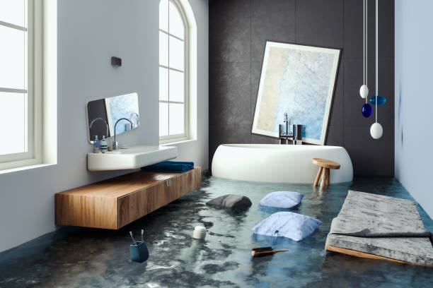 Best Residential water damage restoration  in University Park, IL