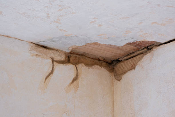 Best Ceiling water damage repair  in University Park, IL