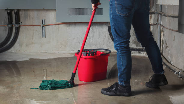 Best Commercial water damage restoration  in University Park, IL