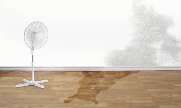Best Water damage mitigation services  in University Park, IL