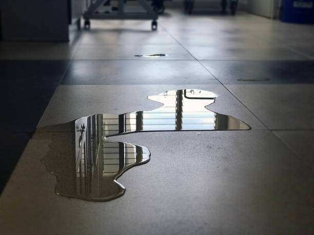 Best Sewage cleanup and water damage restoration  in University Park, IL