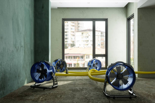 Best Water damage restoration experts  in University Park, IL